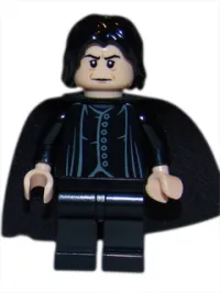 Professor Severus Snape · hp100
