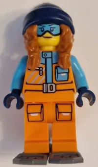 Arctic Explorer · cty1629