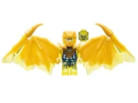 Jay (Golden Dragon) · njo0755