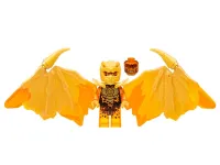 Cole (Golden Dragon) · njo0781