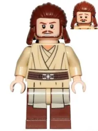 Qui-Gon Jinn · sw0810