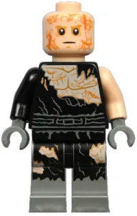 Anakin Skywalker · sw0829