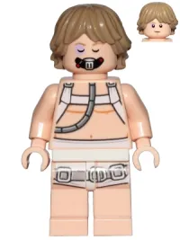 Luke Skywalker (Bacta Tank Outfit · sw0957