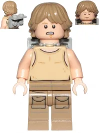 Luke Skywalker (Dagobah · sw0907
