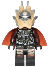 Enfys Nest · sw0940