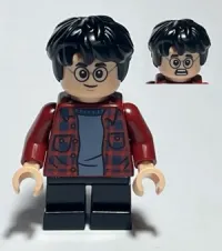 Harry Potter · hp233