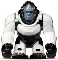 Winston · ow011