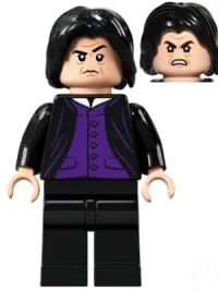 Professor Severus Snape · hp266