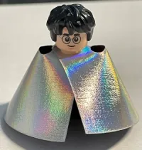 Harry Potter · hp366