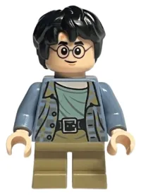 Harry Potter · hp316