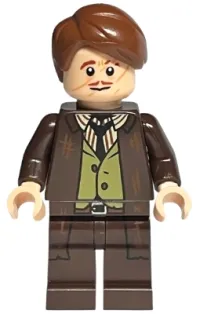 Professor Remus Lupin · hp381