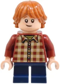 Ron Weasley · hp513