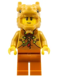 Year of the Dragon Costume Guy · hol348